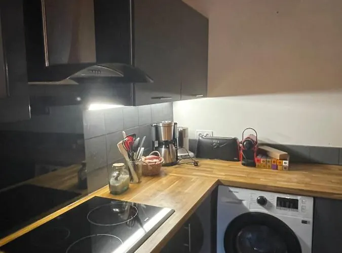 Dağ evi Le Lotus Blanc Les Deux Alpes